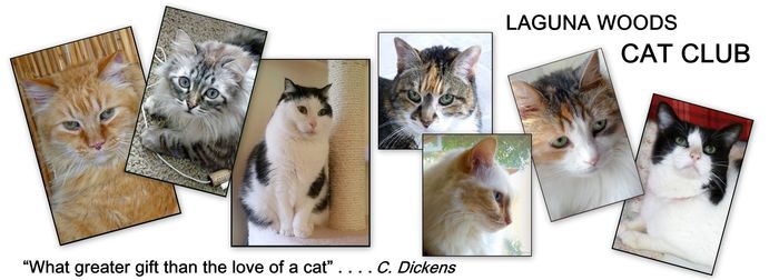 collage of favorite adoptee cats .. a saying: What greater gift than the love of a cat . c. dickens