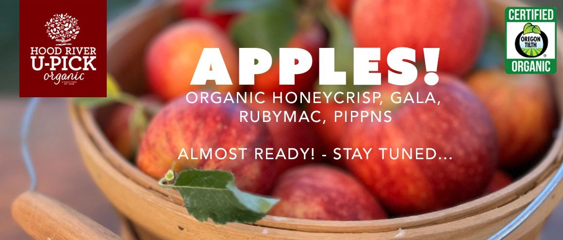 Our Organic U-Pick Apple Season is almost here! TOrganic Apple Season will be in early Sept. 