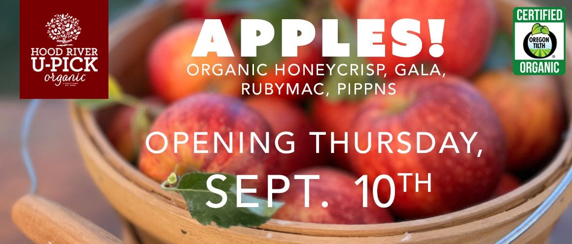 Our Organic U-Pick Apple Season starts on Thursday, Sept 10th.  -- Hood River U-Pick Organic