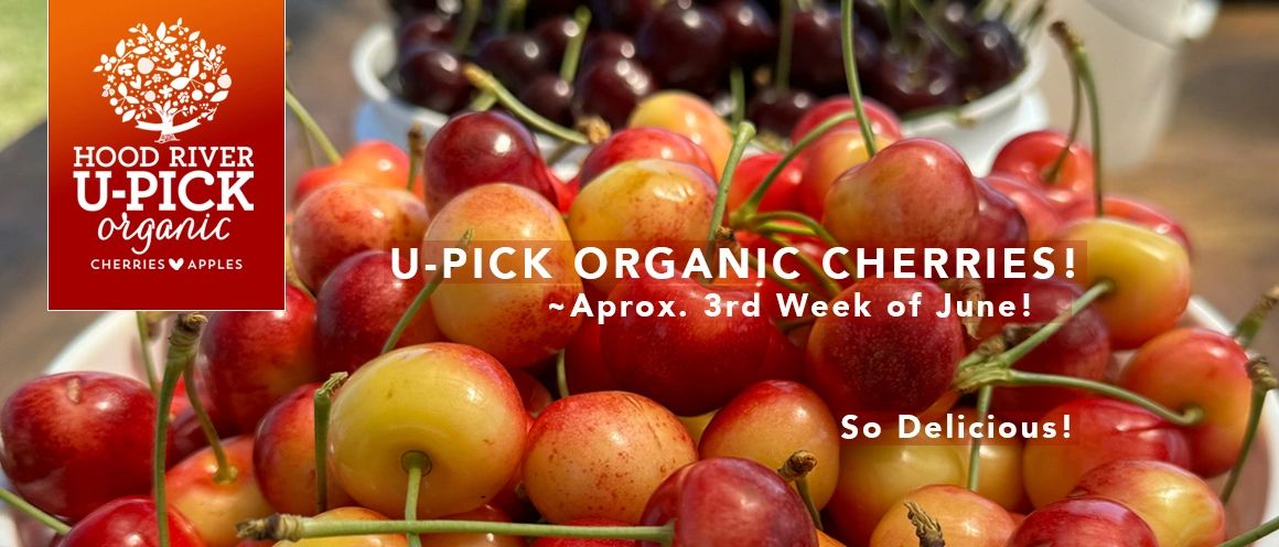 Hood River U-Pick Organic in Hood River