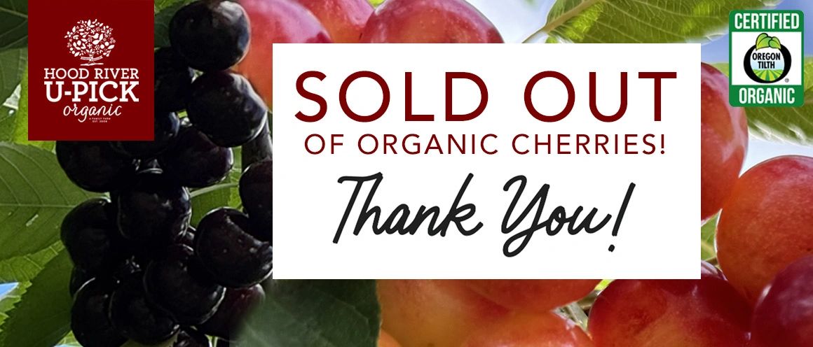 We are SOLD OUT of U-pick Organic Cherries! THANK YOU! UPick Organic Apple Season around early Sept.