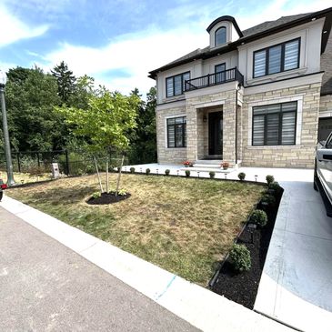 Modern two-story house with a small front yard and young tree.