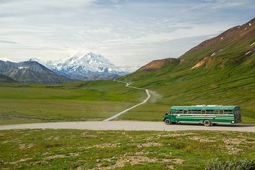 Image #CCJ-AK-1226: Denali National Park, Alaska