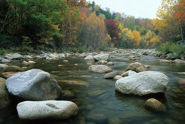 Near Woodstock, New Hampshire, Mad River flowing through White Mountain National Forest, autumn.