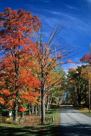 Marlboro, Vermont, Small country road with autumn colors on trees, New England during fall.