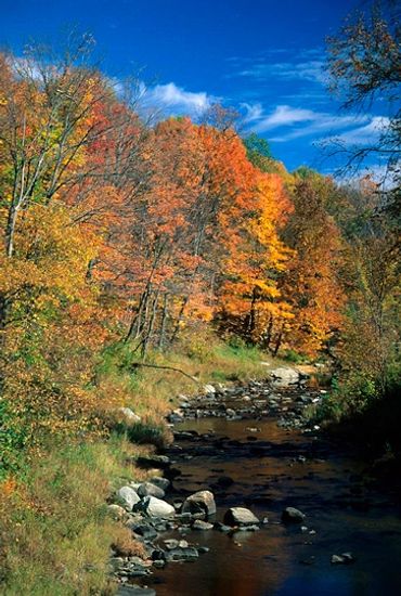 Wilmington, Vermont, River flowing through forest with autumn colors, New England during fall.