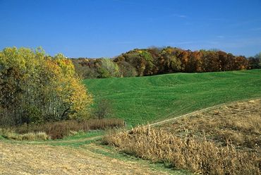 Near Guttenburg, Iowa, Farm fields with autumn color on trees.