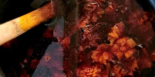 create your own botanical dyes