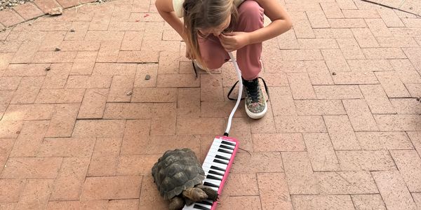 Musical wellness 
