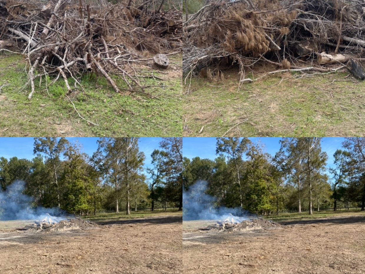 Before And After Underbrush Cleaning, Brush Removal & Site Preparation Services 