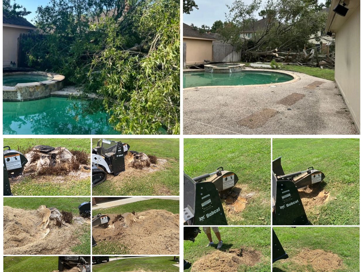 Fallen Tree Removal - Tree Company - Tree Company Near Me - Storm Clea Up Companies - Tree Removal