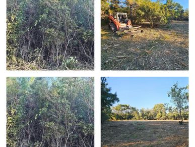 Underbrush Cleaning - Underbrush Clearing Companies - Underbrush Clearing Company near Me