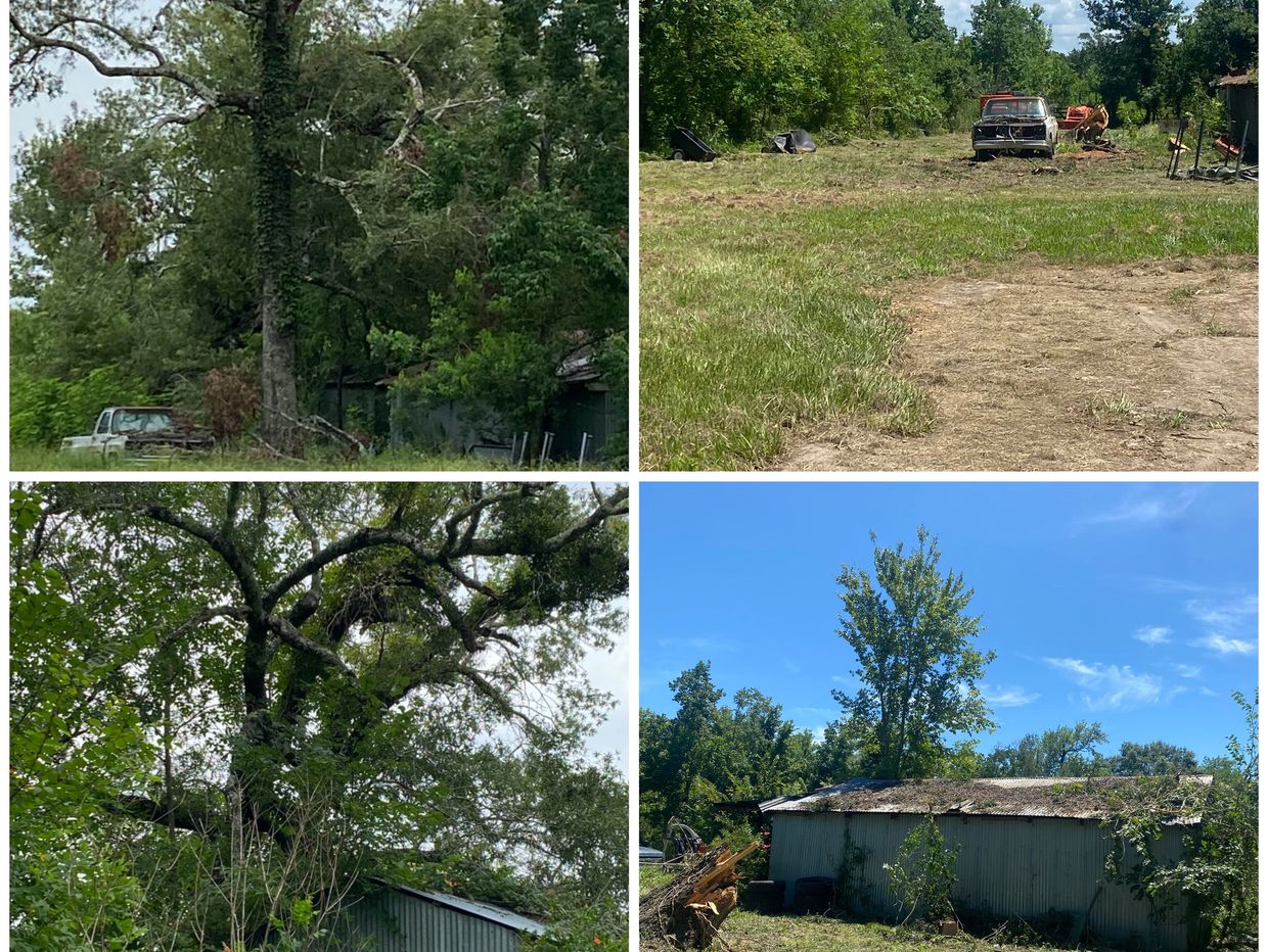 Tree Removal - Tree Removal Company - Tree Removal Companies - Tree Removal Companies Near Me 