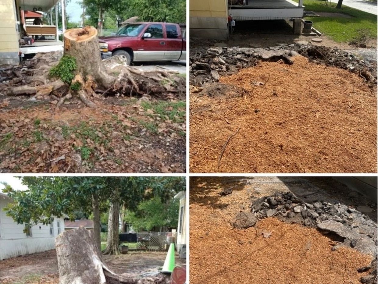 Tree Root Removal - Tree Root Removal Company Near Me - Root Ball Tree Removal - Stump Grinding Root