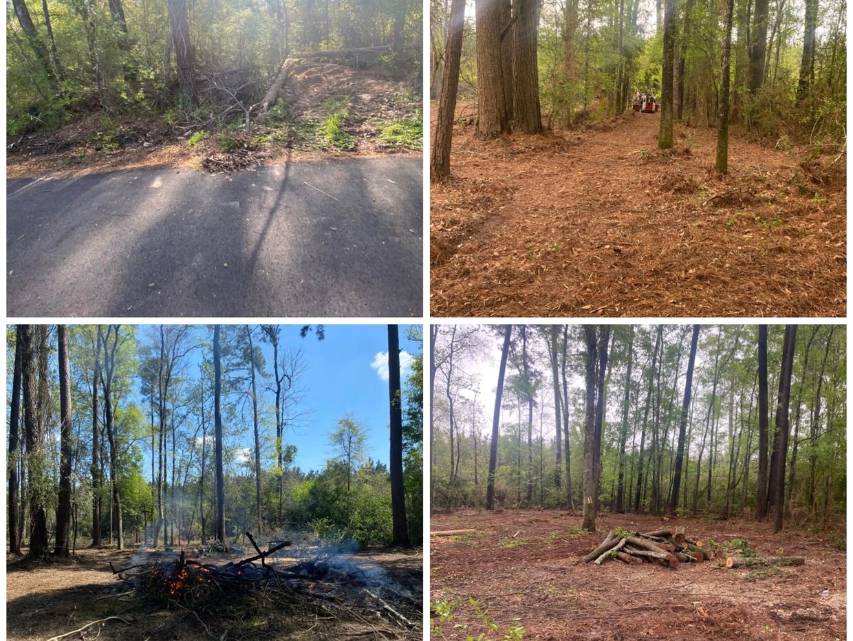 Under Brush Cleaning - Brush Cleaning Services - Brush Hogging - Under Brush Clearing 