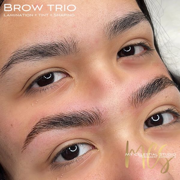 Brow Lamination, Soft Tint, Wax and Shaping