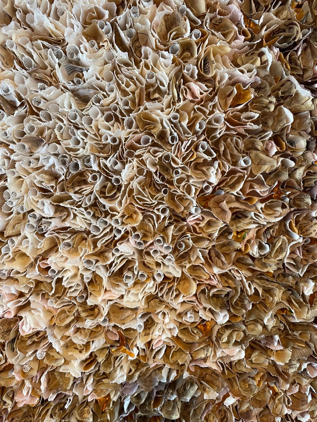 Opgerolde en gevouwen papieren met bruine tinten.