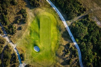 Aerial view of a golf green surrounded by pathways and bushes.
