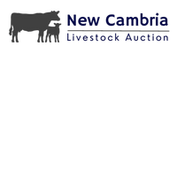 New Cambria Livestock Auction