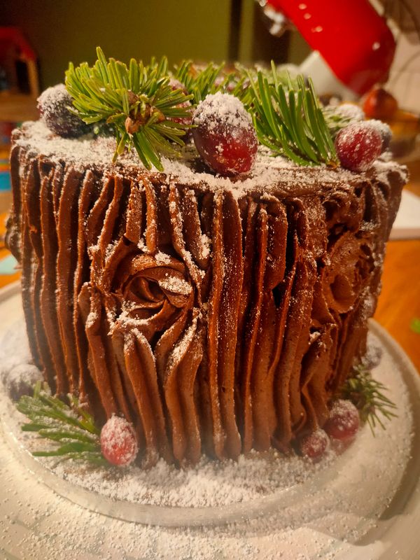 A chocolate cake decorated like a Christmas log. 