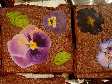 Brownies decorated with pressed edible flowers