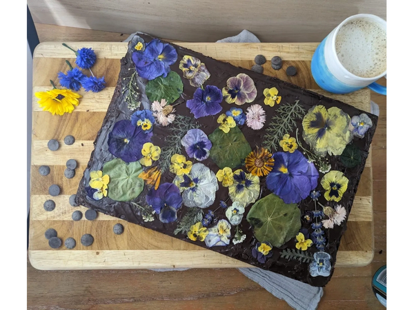 Chocolate brownie decorated with pressed edible flowers. 