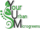 Your
Urban
Microgreens