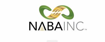 Logo of NABA Inc with green and gold design.