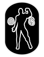 Applying Functional Anatomy