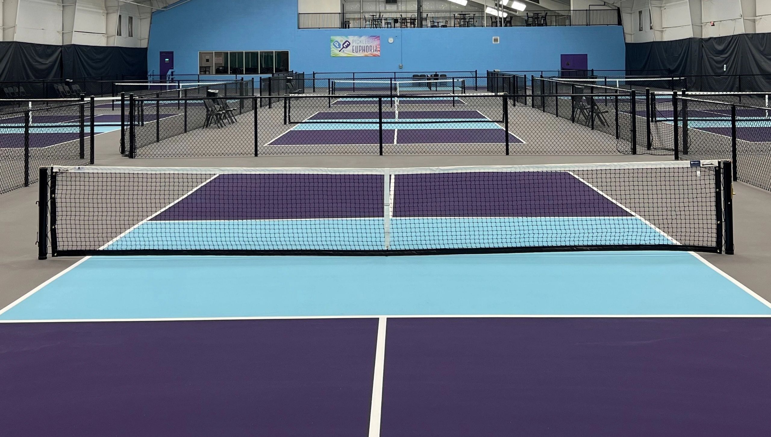 Pickelball Euphoria Pickleball, Weightloss, Community