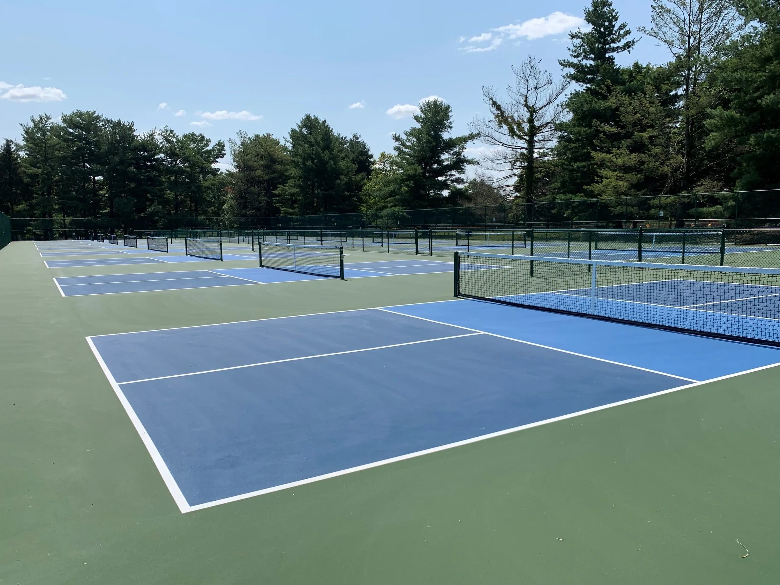 Pickelball Euphoria Pickleball, Weightloss, Community