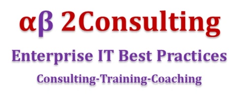 Enterprise IT Consulting