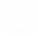 The SRQ Club's Music Festival