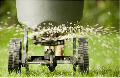 Lawn Fertilization