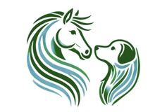 Fit und Munter - Physiotherapie für Hund und Pferd