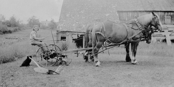 Lakeside Farm purchased in 1929 by my grandfather