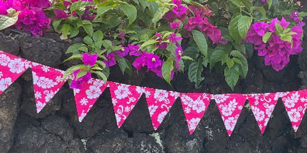 Classic Hot Pink - Ten flags - Five feet long. 
