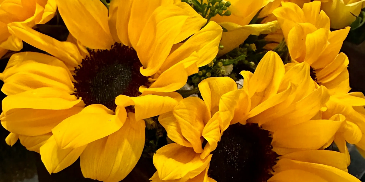 Custom Sunflower Centerpieces