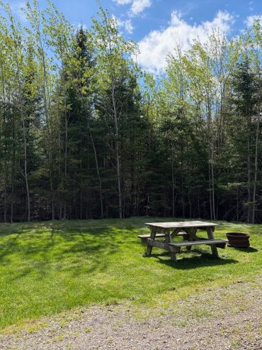 Picnic table on green grass near a forest under a blue sky.