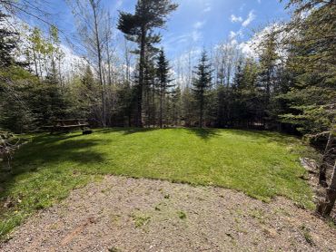 A peaceful grassy clearing with a picnic table surrounded by trees under a blue sky.