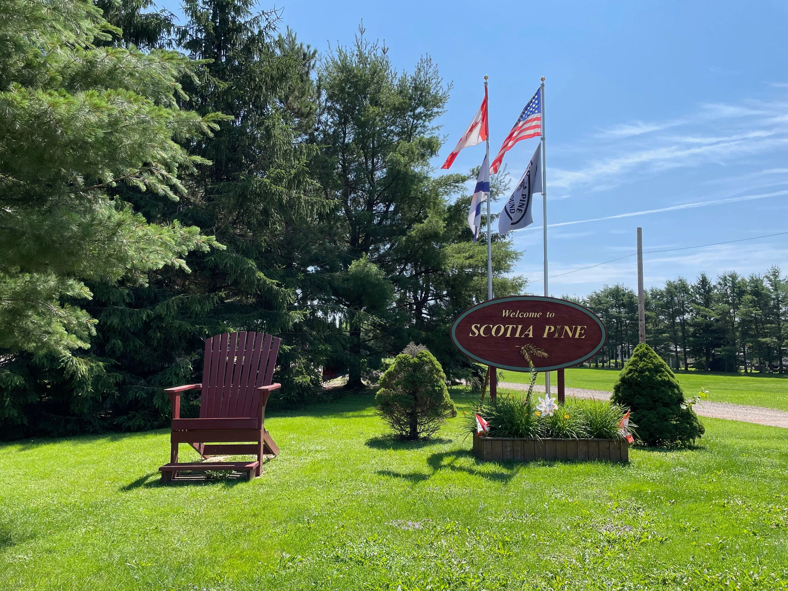 Scotia Pine Campground