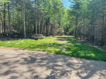 Picnic table in a sunny clearing surrounded by trees.