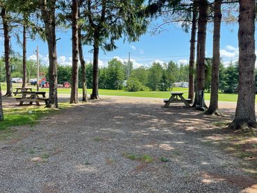Scotia Pine Campground  Pull Thru Sites
