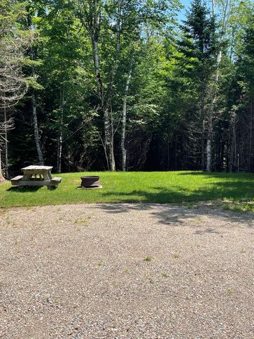 A picnic table and fire pit sit on grass near a gravel area, surrounded by dense trees.