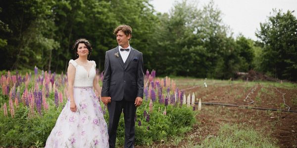 wedding photo in lupine patch on farm