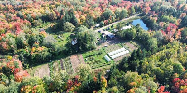 overhead view of farm in fall