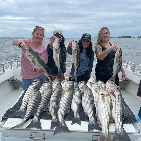 Badfish charters Chesapeake Bay fishing charters