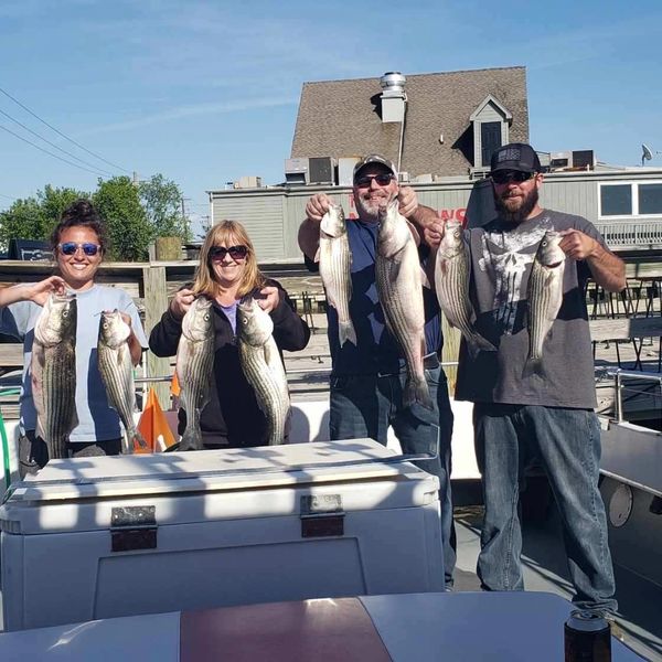 Badfish Charter Fishing Chesapeake Charter Fishing, Kent Island