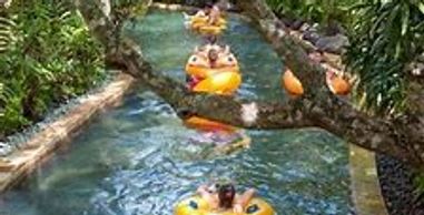 Bookkeeping. Helping you get all your ducks in a line