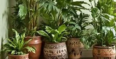 Helping your business grow and succeed